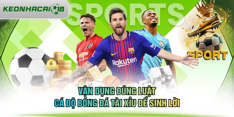 Vận dụng đúng luật cá độ bóng đá tài xỉu để sinh lời